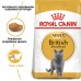 Корм для взрослых кошек ROYAL CANIN BRITISH SHORTHAIR ADULT 0.4 кг  - фото 3