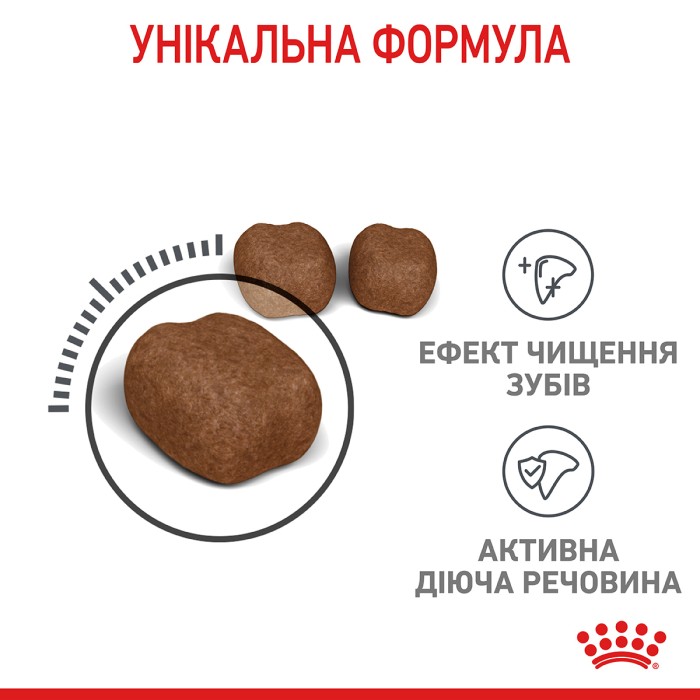 Корм для котів Royal Canin Dental Care  8 кг