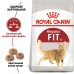 Корм для домашніх і вуличних котів ROYAL CANIN FIT 0.4 кг  - фото 2
