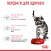 Корм для стерилизованных котят ROYAL CANIN KITTEN STERILISED 0.4 кг  - фото 4