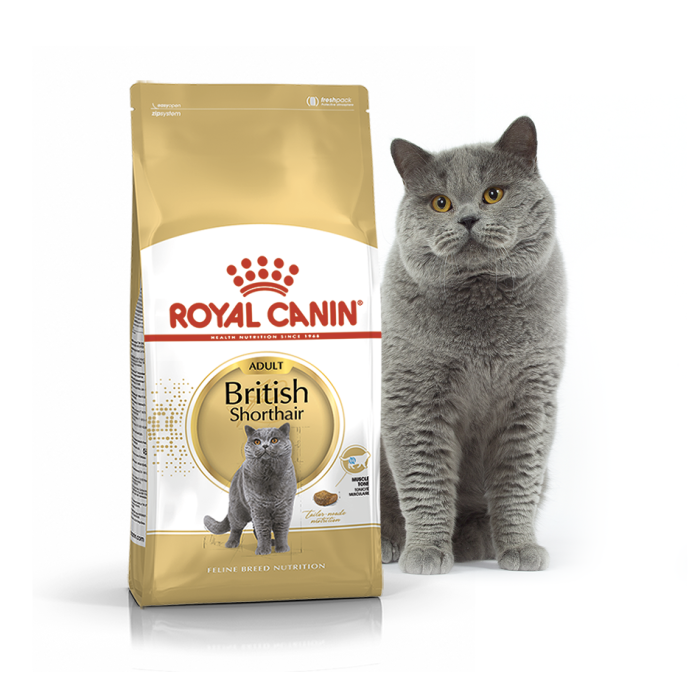 Корм для дорослих котів ROYAL CANIN BRITISH SHORTHAIR ADULT 2.0 кг