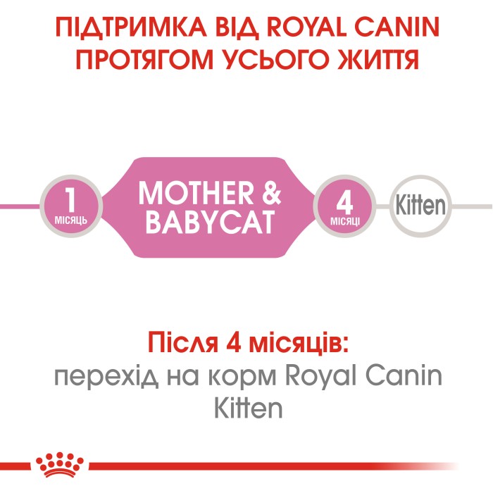 Влажный корм для новорожденных котят ROYAL CANIN MOTHER & BABYCAT Cans 0.195 кг