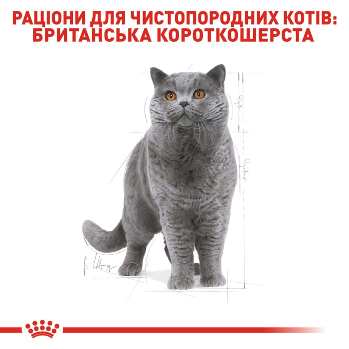 Корм для дорослих котів ROYAL CANIN BRITISH SHORTHAIR ADULT 2.0 кг