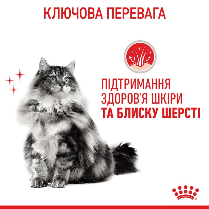 Корм для котів ROYAL CANIN HAIR&SKIN CARE 10.0 кг