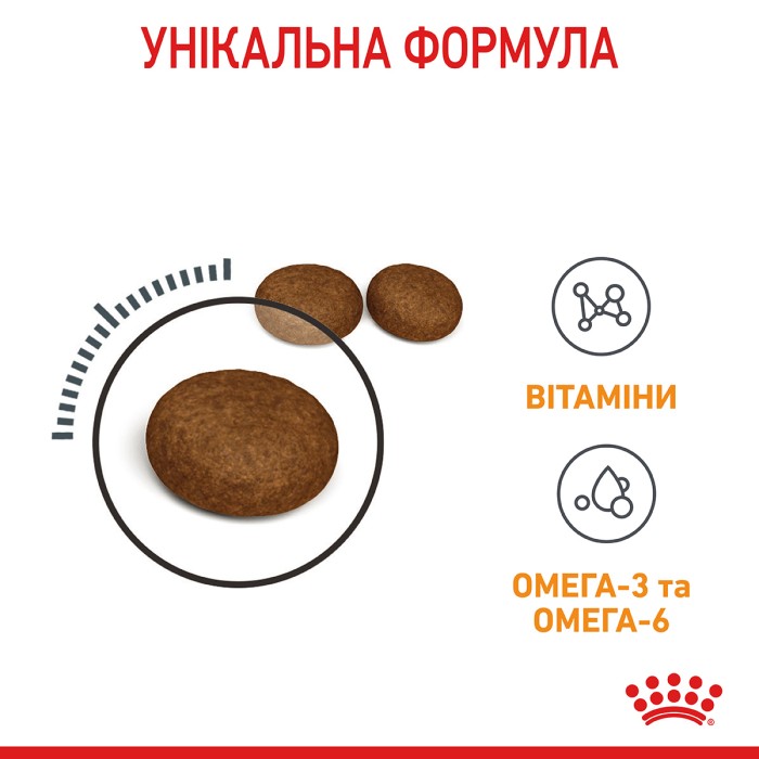 Корм для котів ROYAL CANIN HAIR&SKIN CARE 10.0 кг