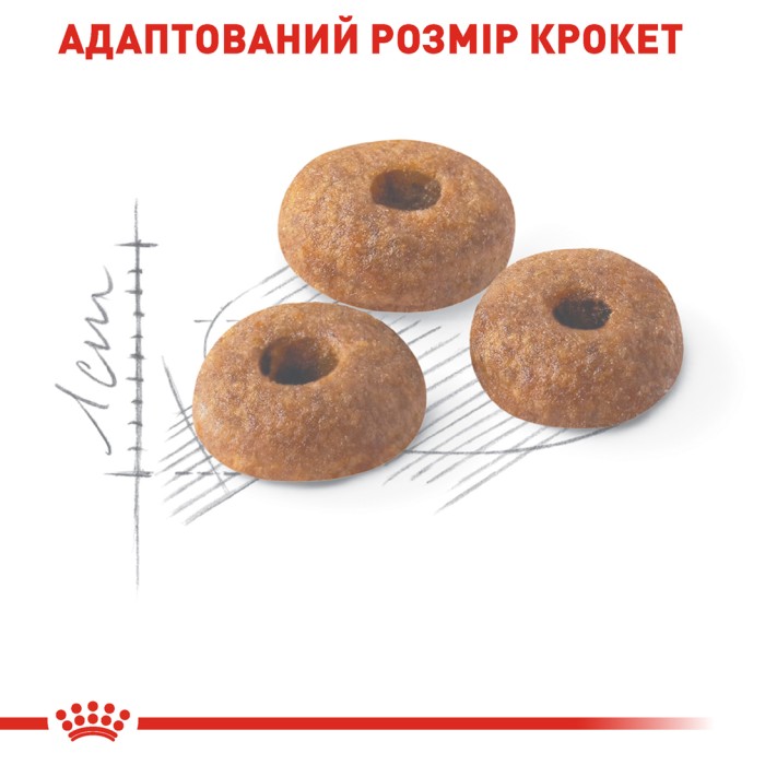 Корм для домашніх і вуличних котів ROYAL CANIN FIT 2.0 кг