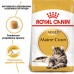 Корм для взрослых кошек ROYAL CANIN MAINECOON ADULT 2.0 кг  - фото 9