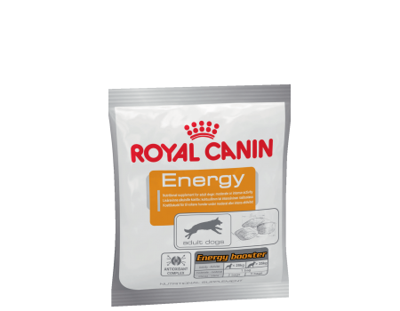 срок до 23.02.2023 //Royal Canin Energy Неполнорационный продукт для дополнительного снабжения энергией собак с повышенной физической активностью, 0,05 кг