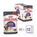 Вологий корм для дорослих котів ROYAL CANIN APPETITE CONTROL CARE шматочки в соусі 85 г  - фото 12