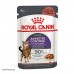 Вологий корм для дорослих котів ROYAL CANIN APPETITE CONTROL CARE шматочки в соусі 85 г