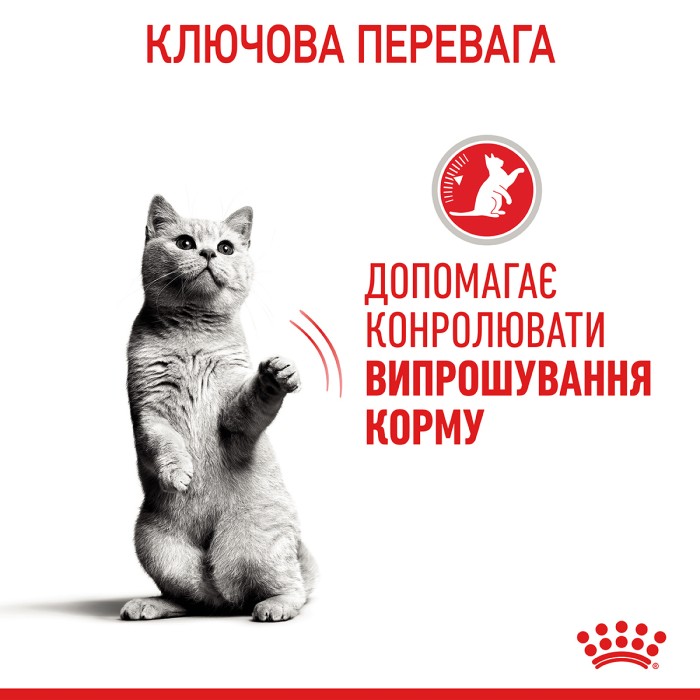 Вологий корм для дорослих котів ROYAL CANIN APPETITE CONTROL CARE шматочки в соусі 85 г