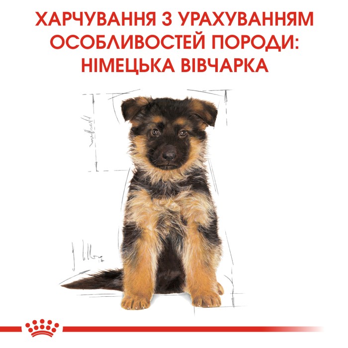 Корм для щенков ROYAL CANIN GERMAN SHEPHERD PUPPY 12.0 кг