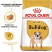 Корм для собак ROYAL CANIN BULLDOG ADULT 12.0 кг  - фото 5