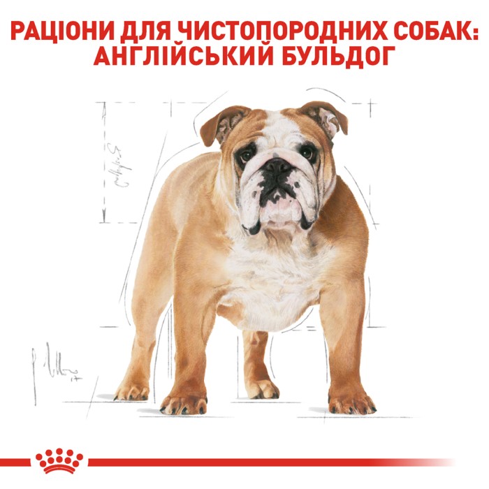 Корм для собак ROYAL CANIN BULLDOG ADULT 12.0 кг