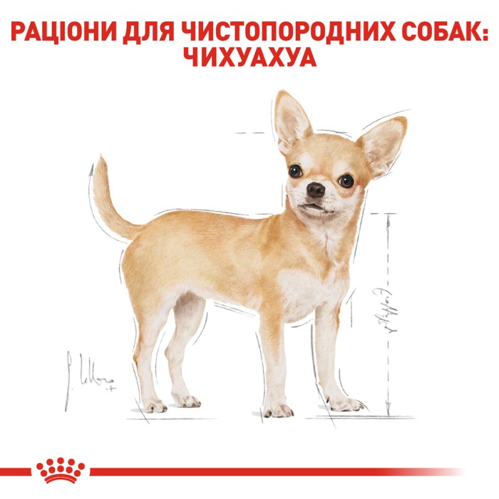 Royal Canin Chihuahua Adult 0,5 кг
