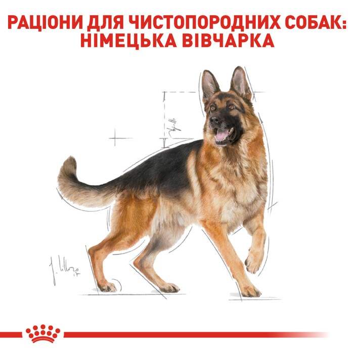 Корм для взрослых собак ROYAL CANIN GERMAN SHEPHERD ADULT 11.0 кг