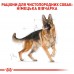 Корм для взрослых собак ROYAL CANIN GERMAN SHEPHERD ADULT 11.0 кг  - фото 3
