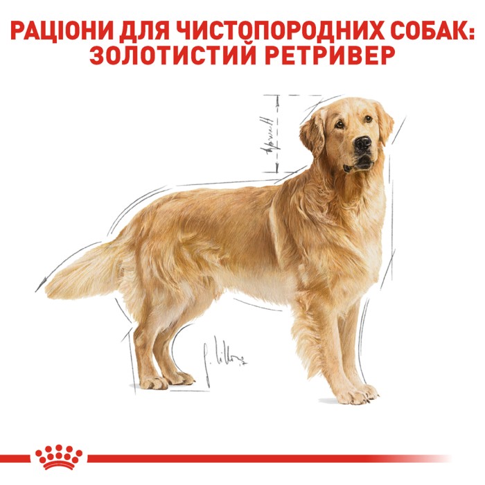 Корм для взрослых собак ROYAL CANIN GOLDEN RETRIEVER ADULT 12.0 кг