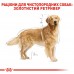 Корм для взрослых собак ROYAL CANIN GOLDEN RETRIEVER ADULT 12.0 кг  - фото 4