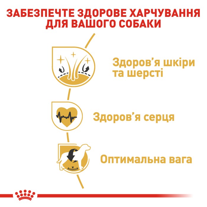 Корм для взрослых собак ROYAL CANIN GOLDEN RETRIEVER ADULT 12.0 кг