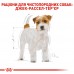 Корм для взрослых собак ROYAL CANIN JACK RUSSEL ADULT 1.5 кг  - фото 2