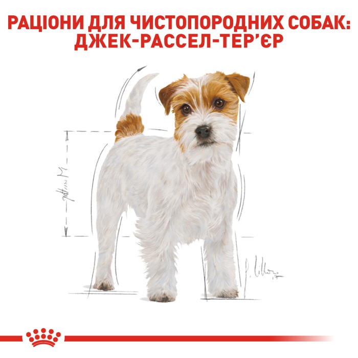 Корм для взрослых собак ROYAL CANIN JACK RUSSEL ADULT 7.5 кг