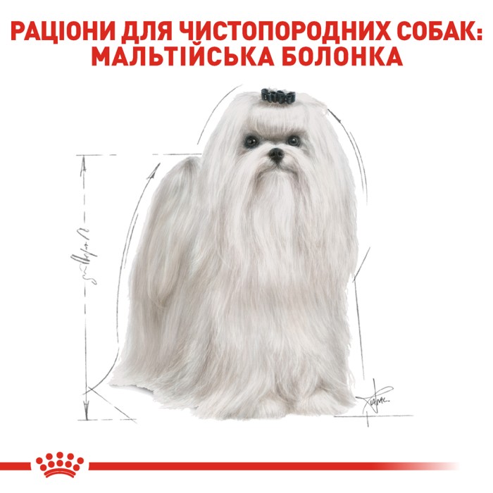 Корм для взрослых собак ROYAL CANIN MALTESE ADULT 0.5 кг