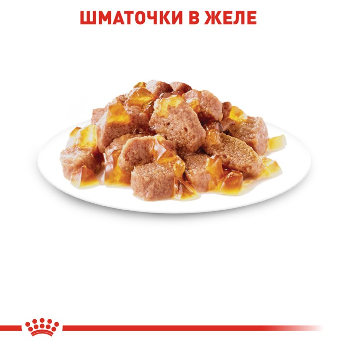 Влажный корм для взрослых кошек ROYAL CANIN INSTINCTIVE IN JELLY 0.085 кг 