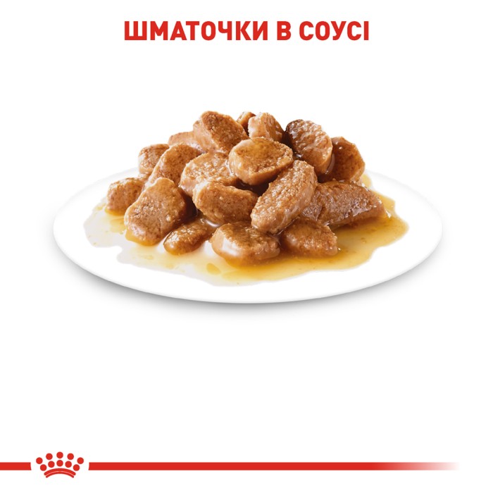 Вологий корм для дорослих собак ROYAL CANIN MINI ADULT  0.085 кг