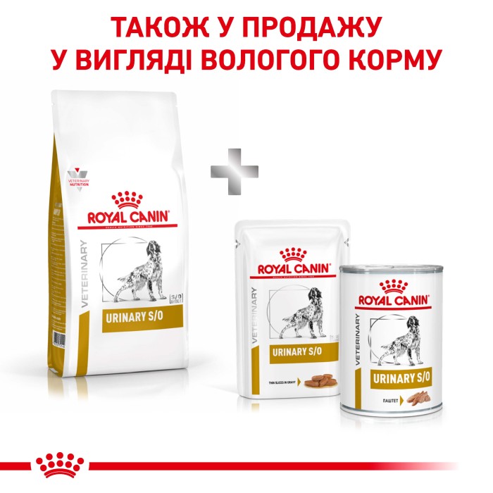 срок 06.2026 Корм для взрослых собак ROYAL CANIN URINARY S/O DOG 13 кг