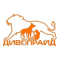 Каталог товаров Дивопрайд