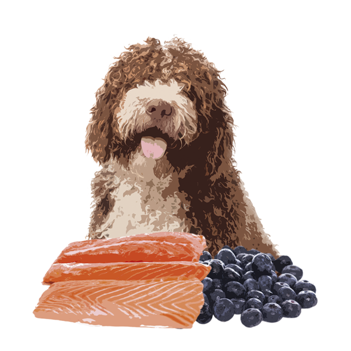 Полувлажный корм Orygo Salmon для взрослых собак, Ориго Салмон, лосось, 8 кг.