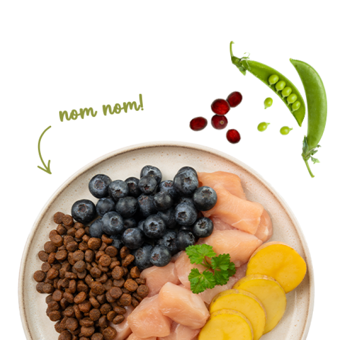 Корм для котів Sanabelle No Grain (курка із чорницями) 2 кг