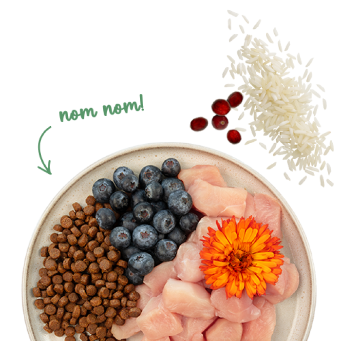 Корм для котів Sanabelle Sensetive (курка із чорницями) 8 кг