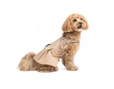 Сарафан Pet Fashion Lily, для собак, дівчинка, бежевий, XS2