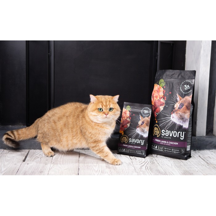 Сухой корм для кастрированных котов Savory Adult Cat Steril Fresh Lamb and Chicken со свежим мясом ягненка и курицей, 400 г