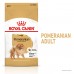Корм для взрослых собак ROYAL CANIN POMERANIAN ADULT 0.5 кг  - фото 2
