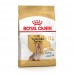 Корм для дорослих собак ROYAL CANIN YORKSHIRE TERRIER ADULT 8+ 1.5 кг