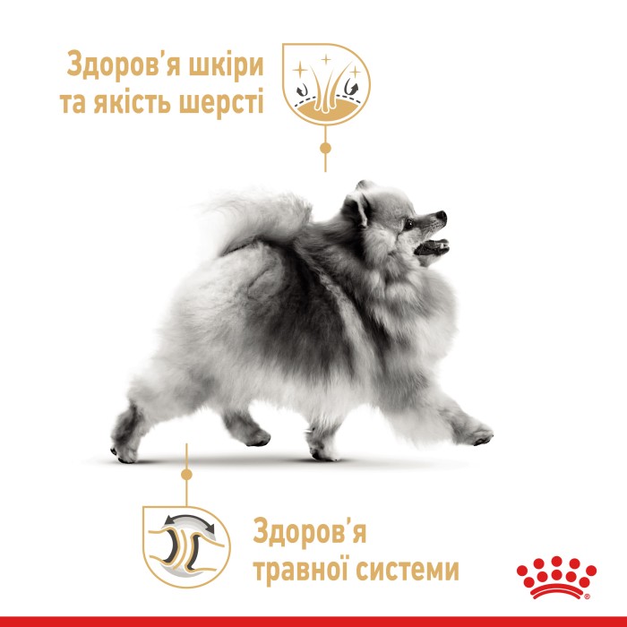 Вологий корм для собак ROYAL CANIN POMERANIAN ADULT паштет 85 г