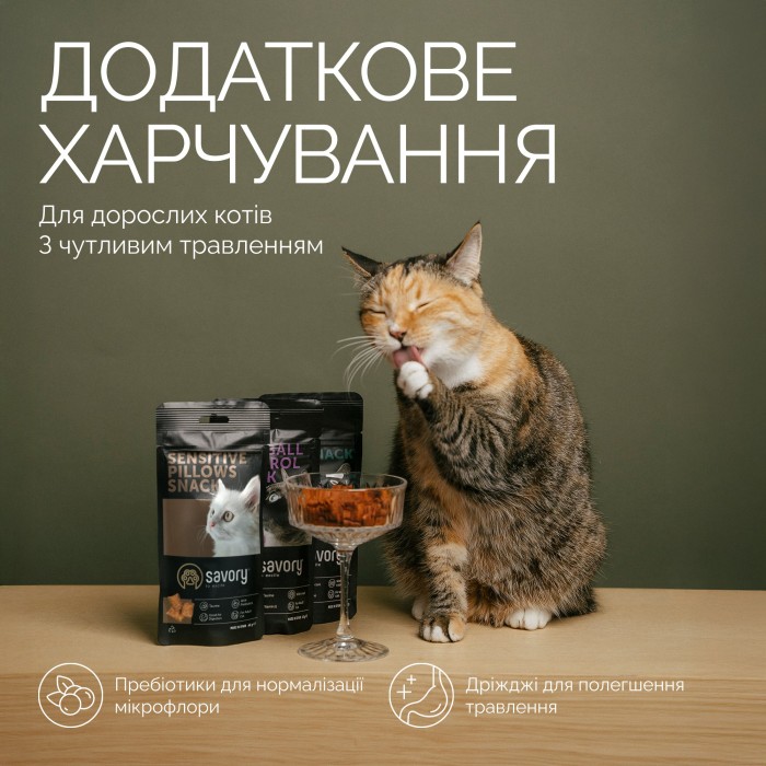 Хрустящие лакомства Savory Cats Snacks Pillows Sensitive для котов с чувствительным пищеварением, 60 г