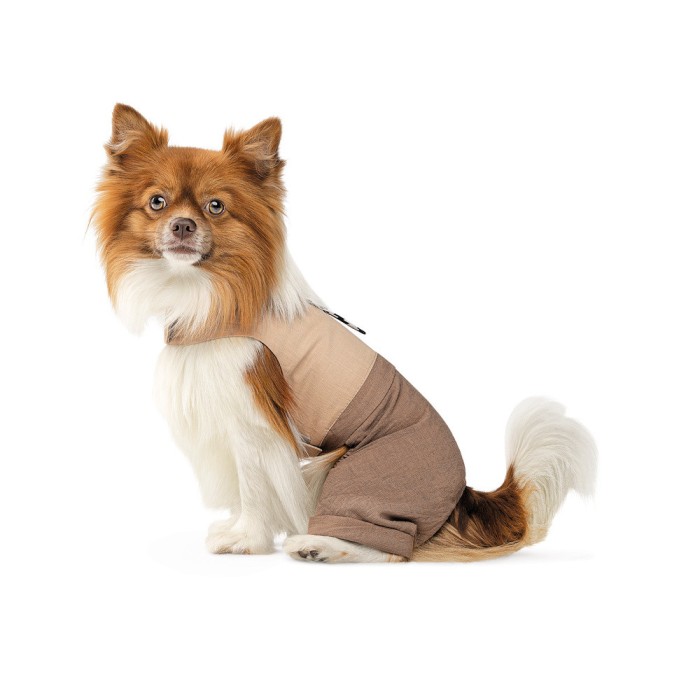 Шлея-костюм Darcy ТМ Pet Fashion для собак S