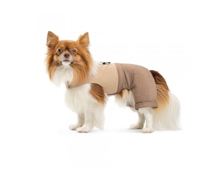 Шлея-костюм Darcy ТМ Pet Fashion для собак М