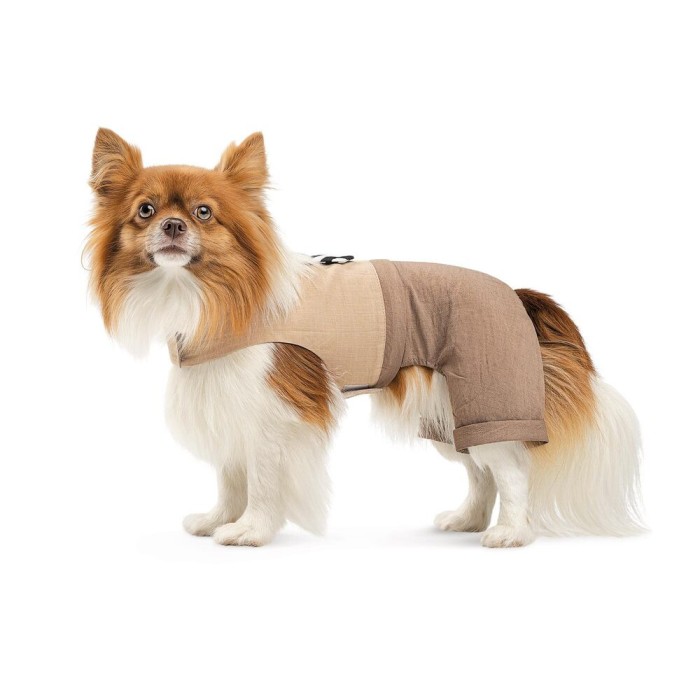 Шлея-костюм Darcy ТМ Pet Fashion для собак S