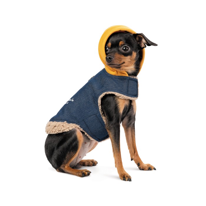 Pet Fashion Шлея Poppy S для собак