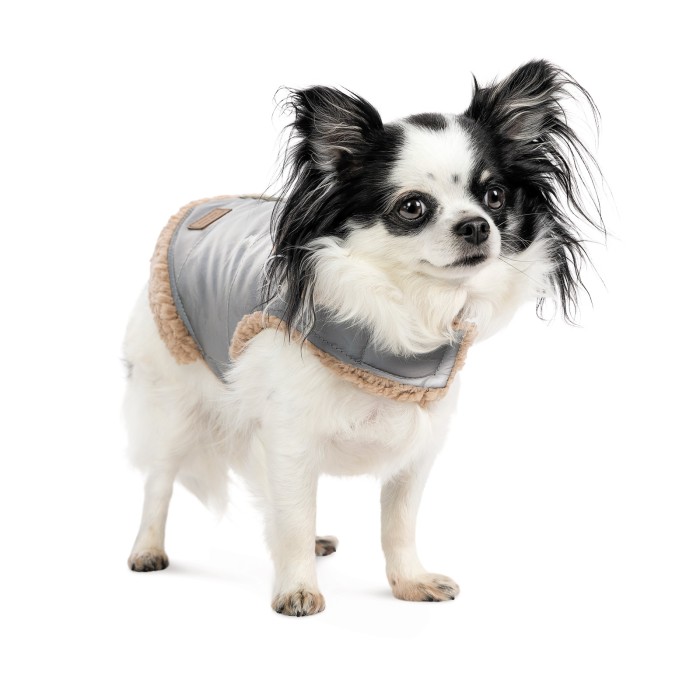 Pet Fashion Шлея Rob S для собак