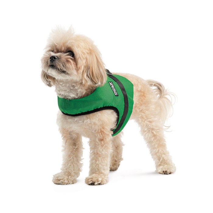 Шлея Ross ТМ Pet Fashion для собак XS2