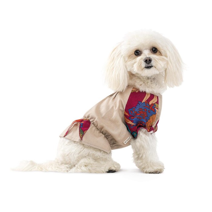 Рубашка Pet Fashion Соломия, для собак, девочка, бежевая, XS