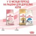 Royal Canin Kitten — сухий корм для кошенят усіх порід (птиця) 10 кг  - фото 7