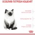 Royal Canin Kitten — сухий корм для кошенят усіх порід (птиця) 10 кг  - фото 4