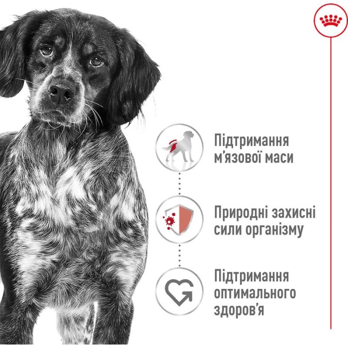 Корм для взрослых собак ROYAL CANIN MEDIUM ADULT 15.0 кг